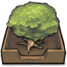 Icône Arbre, dans, une, boite de reception