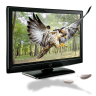 3d, 이글, 동물, tv, tv 아이콘