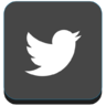 鳥, メディア, 社会的, 社会, メディア, ツイッター アイコン