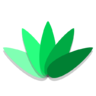 龙舌兰 图标