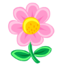 Icona Rosa, Fiore