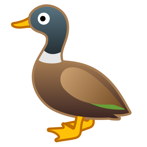 Canard - Icônes Animaux