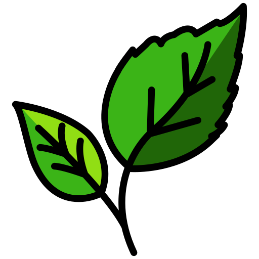 ecology, green, leaf, plant, spring Icon