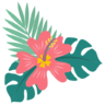 Icona Hibiscus, Fiore