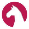 Anjuta Icon