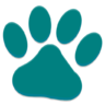 Baloo Icon