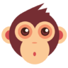 Monkeystudio Icon