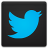 Twitter 아이콘