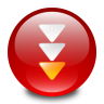 Flashget 图标