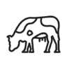 Cow Icon