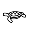 Sea, turtle Icon
