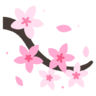 Icona Primavera, sakura, fiore, floreale, giapponese, ciliegio