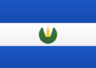 SV 图标