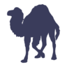 File, type, perl Icon