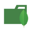 Map, type, mongodb Pictogram
