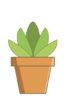 Icona Pianta, cactus, fiore, natura, vaso di fiori, giardino, fioriera