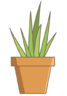 Icona Pianta, cactus, fiore, natura, vaso di fiori, giardino, fioriera