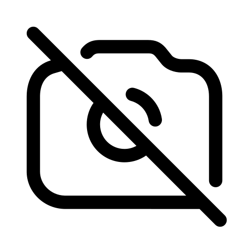 摄像机, 关闭 图标