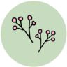 Icona Fiore, primavera, evidenziare, giardino, la natura, ecologia
