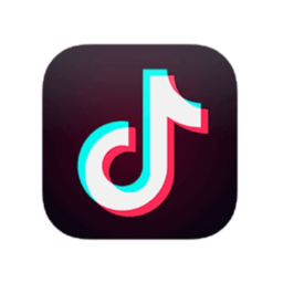 tiktok 图标