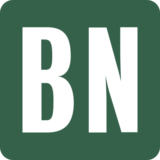 barnesandnoble.com, 标志 图标
