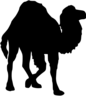 Perl, camel, src, logo Icon