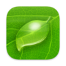 Coda, macOS, BigSur значок