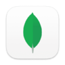 MongoDB, Compass, macOS, BigSur 아이콘