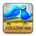 twitter 图标