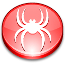 web, spider Icon