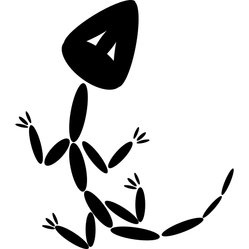 化石;化石, 标志 图标