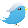 Twitter 아이콘