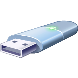 flash, disk Icon