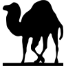 Prog, perl Icon
