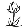 Icona Tulipano, fiore