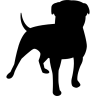 Zynga的, logotype 图标