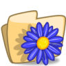 Icona Cartella, fiore, blu