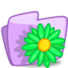 Icona Cartella, fiore, verde