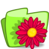 Icona Cartella, fiore, rosso