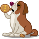 stbernard หญิงของสัตว์ ไอคอน