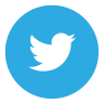 Twitter 아이콘