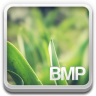 Bmp, 档案 图标