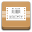 application, archive Icon